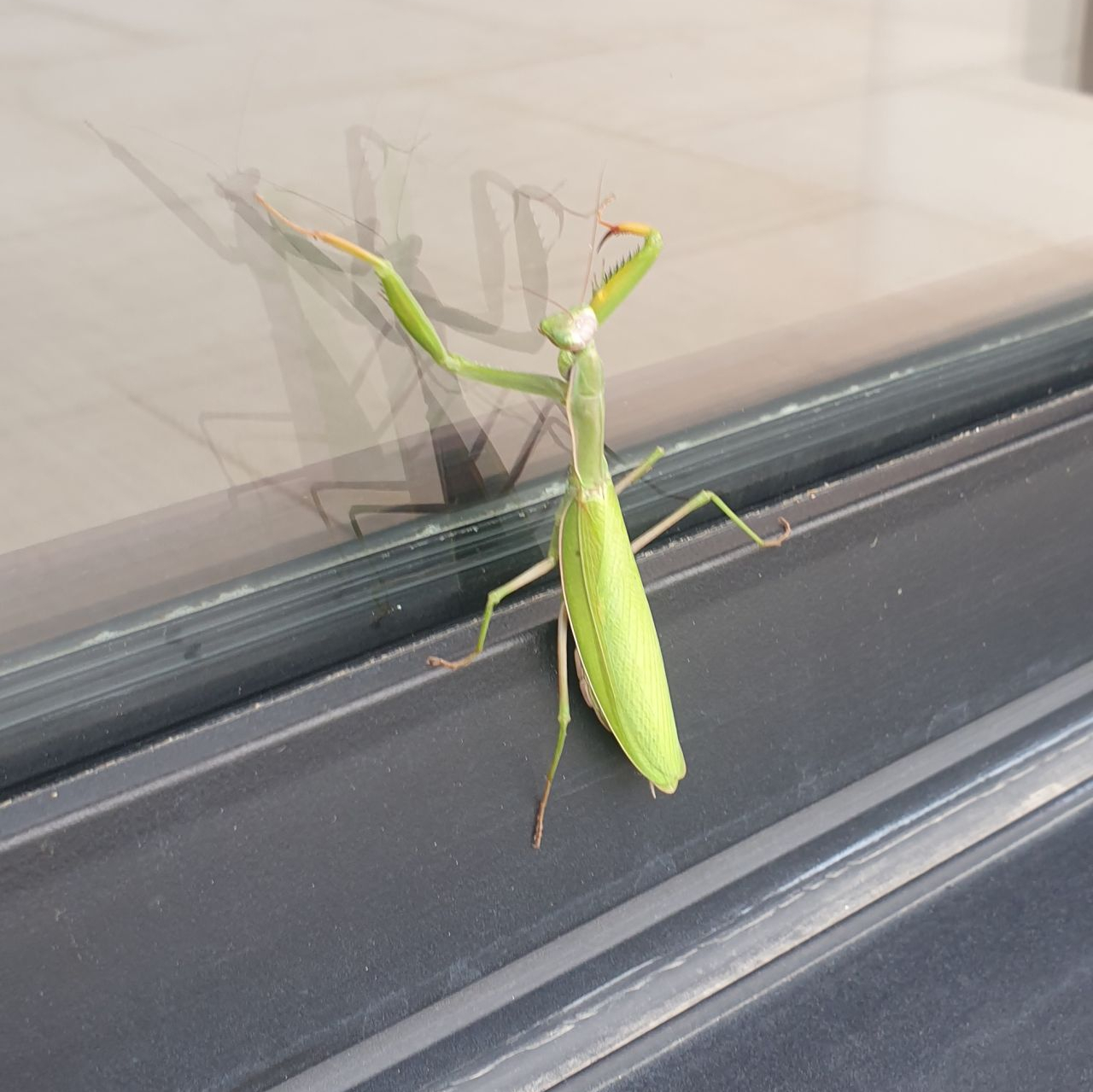 [Le syndrome de la page&nbsp;blanche]